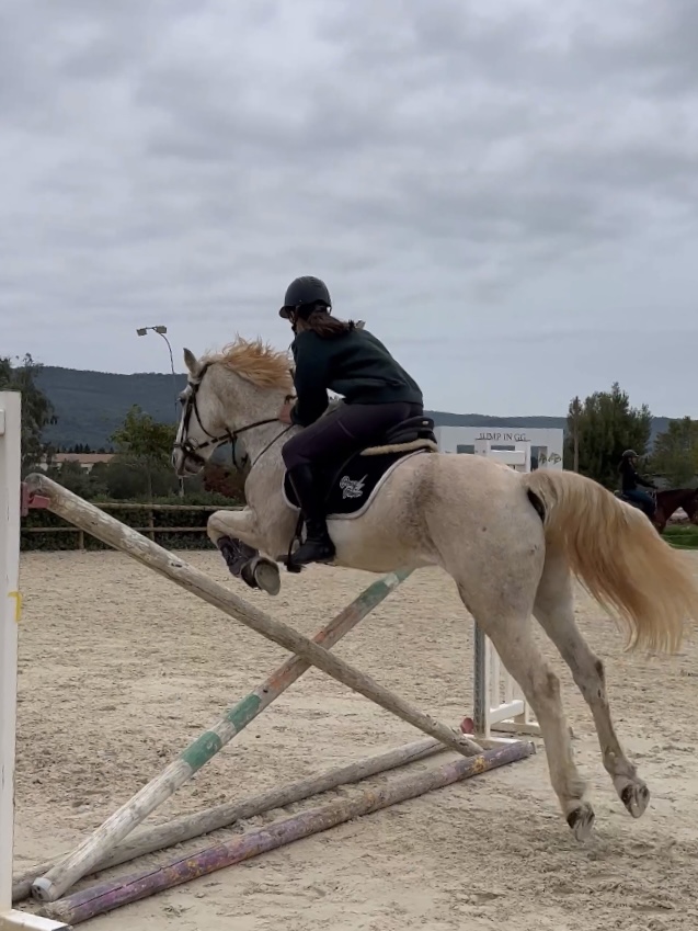 Équitation 2