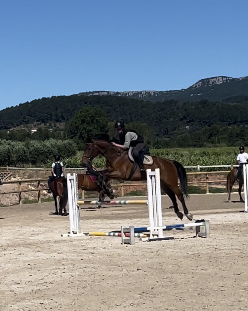 Équitation 1